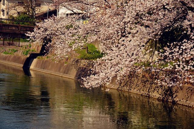 Art Stay In Tofukuji Kjóto Exteriér fotografie